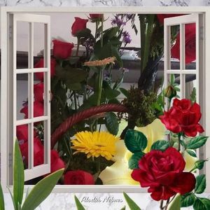 Meet your Posher, Sandy